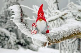 What are the benefits of moving home in the winter?